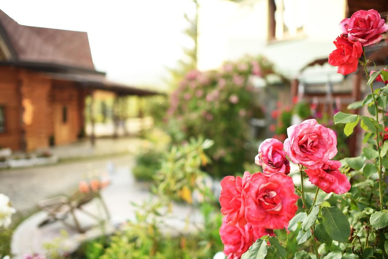 Гостевой дом Sadyba Pogar Славское-15