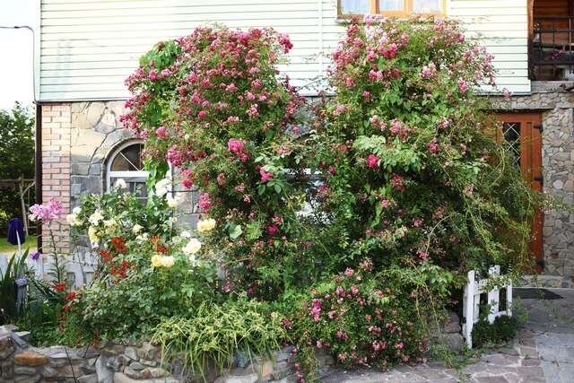 Гостевой дом Sadyba Pogar Славское-32